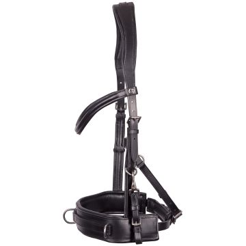 Harry's Horse Cabezada Cavesson Cuero Confort